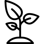 noun-sprout-3186346